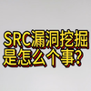 src漏洞挖掘是个啥