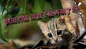 895b6c5986e6a183395e593ad2af47ad302e8d3a.jpg@280w_158h_1c_100q.jpg