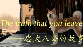 8960c92d22808ca5aac7cba7d79c0be8e55718af.jpg@280w_158h_1c_100q.jpg