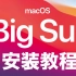 OpenCore 0.6.4 & macOS Big Sur 11.0.1 制作安装教程 ｜ 黑苹果
