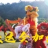 福州大学校运会50周年加油短视频—舞狮题材