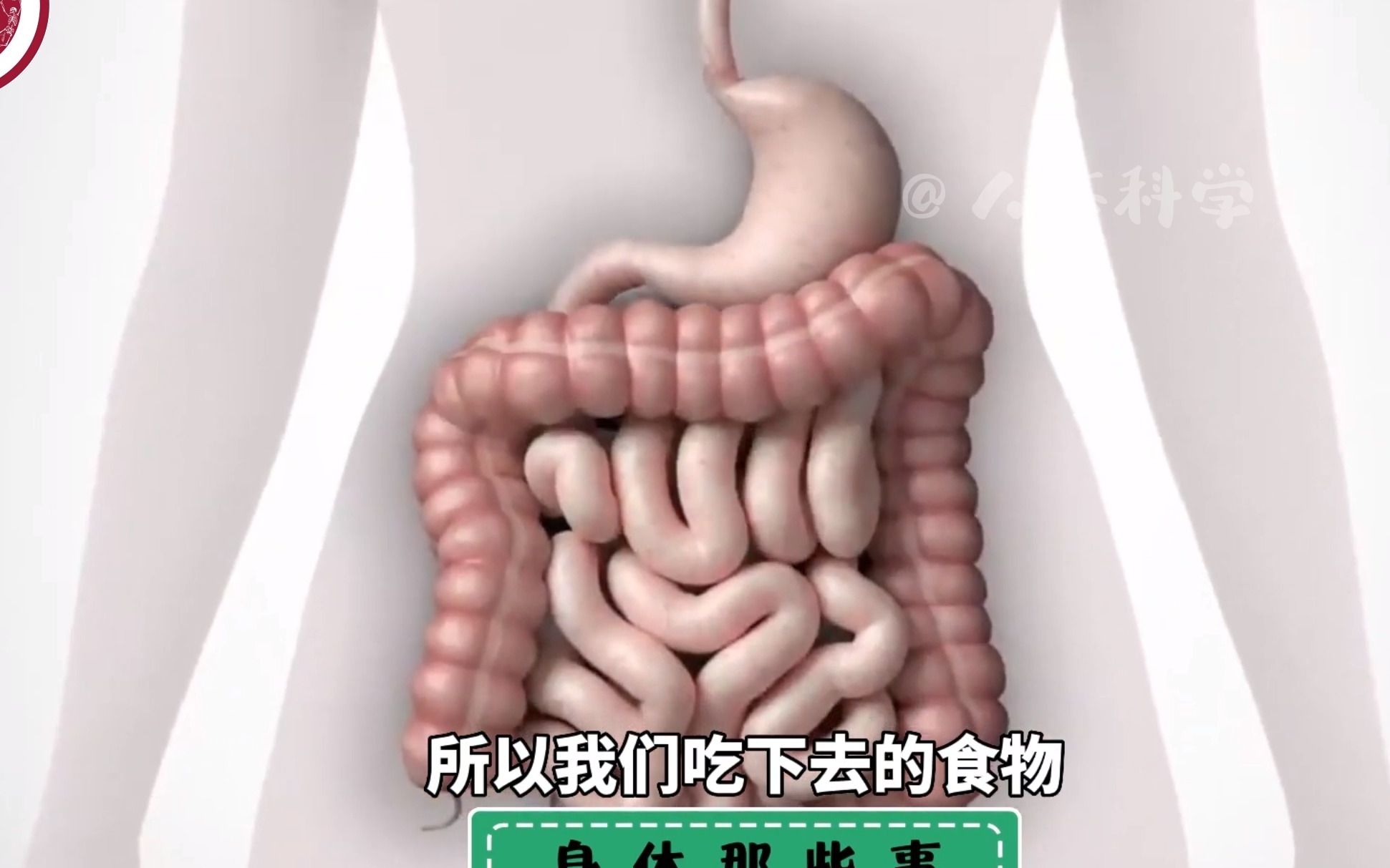 【科学减肥】少吃 VS 多动，哪个更减肥？