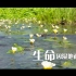 第25个国际湿地日宣传片