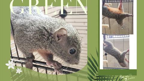 8993451a1379f5bb3cedfd0c08db084bef4ebfd8.jpg@480w_270h_1c