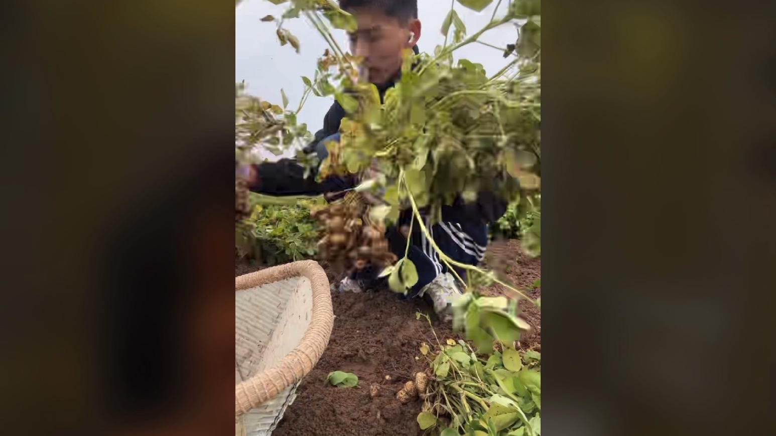 ScreenRecording_10-20-2025 13-38-06_1