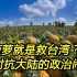 吃菠萝就是救台湾？一出对抗大陆的政治闹剧