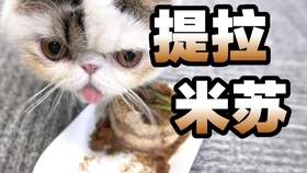 小蓝蓝真名叫什么 89b425f79705c6691f2ce7658bd7eff000205485.jpg@280w_158h_1c_100q.jpg