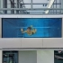 【自动字幕】Casey 1000英尺高空的玻璃游泳池 vlog