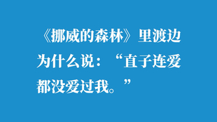 挪威说的是什么话 89dea134bbf338d4ac8cd8675ed4b3c67a40b868.jpg@310w_174h_1c_100q.jpg