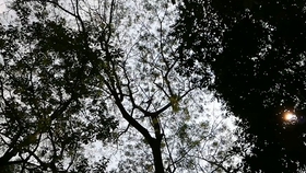 89e5d9466c72f96efd69a939baf303d1f3aee29c.jpg@280w_158h_1c_100q.jpg