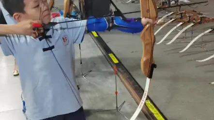 金弓羽箭