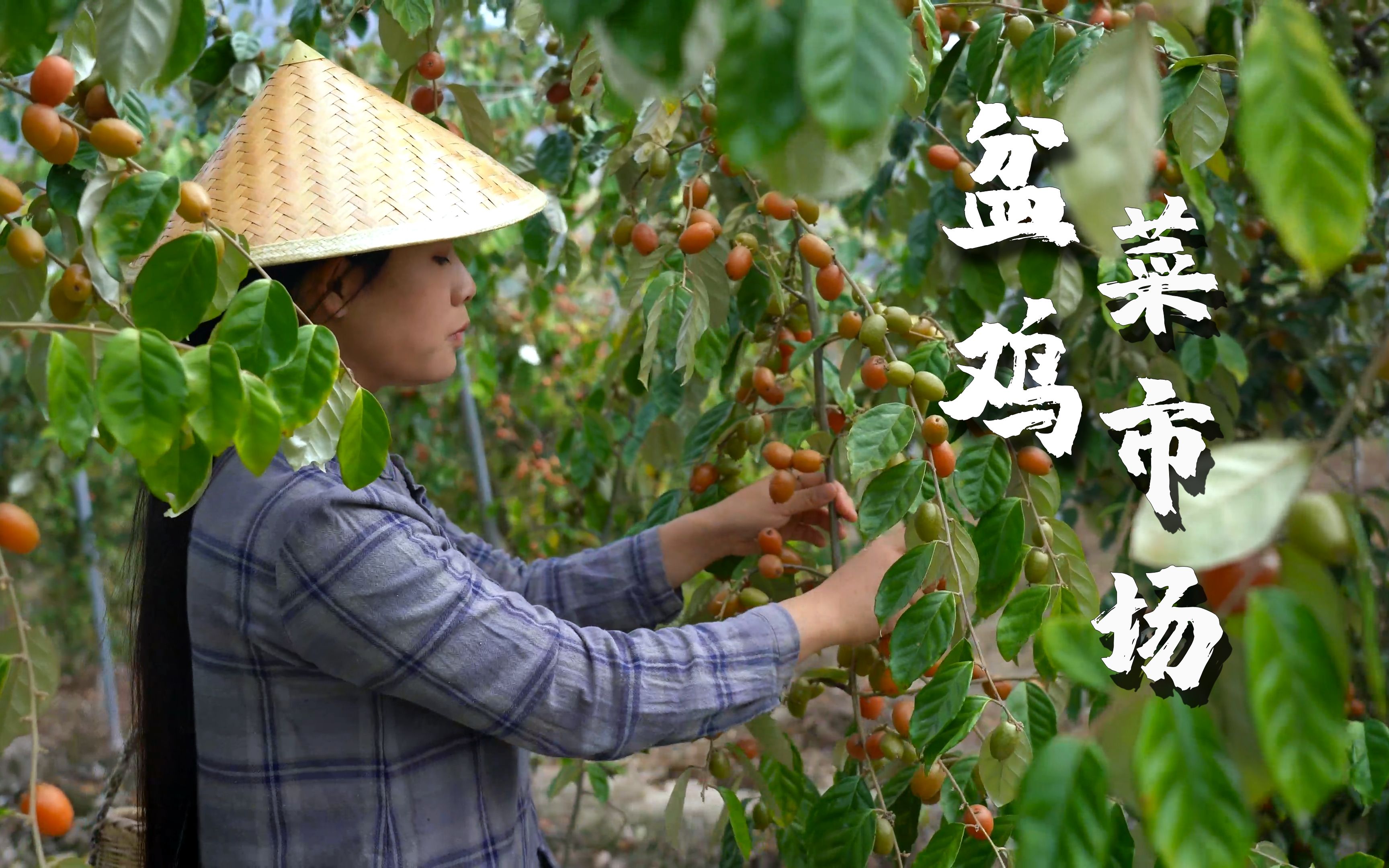 来云南是肯定要逛菜市场的，有很多不认识的瓜果蔬菜，新鲜又可爱。但逛视频里的“菜市场”更得劲，这里聚集了田间地头的一年四季。【滇西小哥】