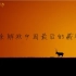谁来拯救中国最后的藏羚羊？高分电影《可可西里》