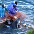 记者冒死偷拍的纪录片，曝光日本海豚湾捕杀画面，画面令人窒息！