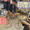 印度如何用笛子舞蛇？速来围观