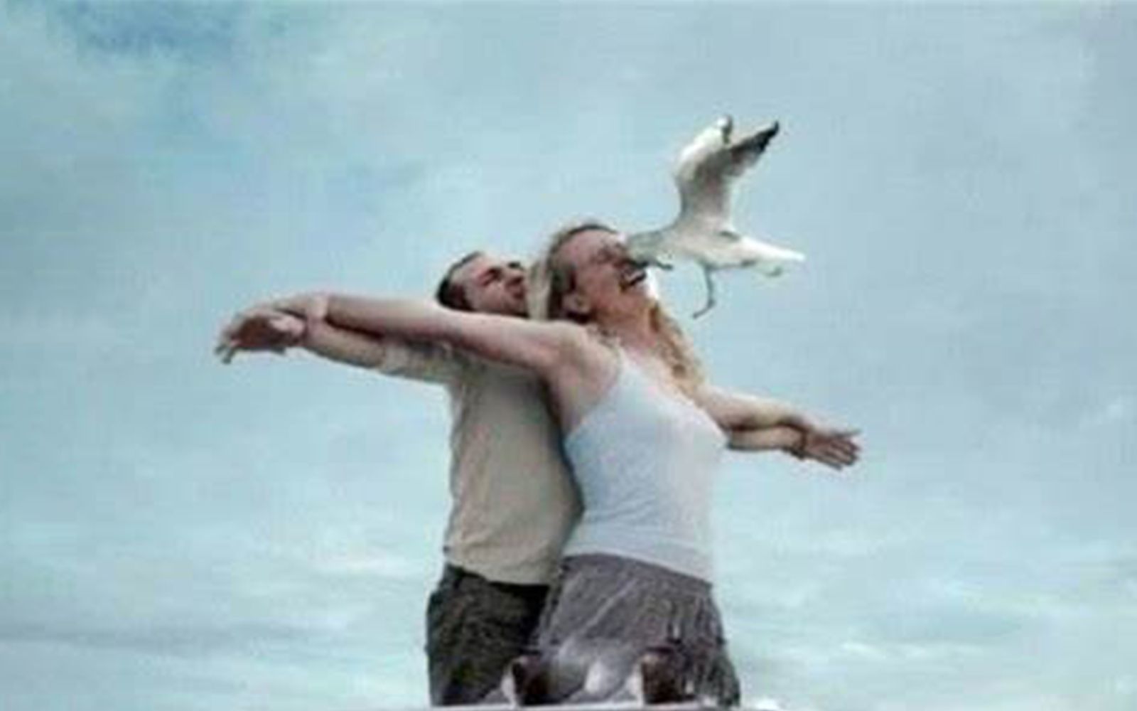 《倒 霉 一 家 人》