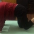 瑜伽作业——跪姿串联体势一