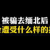 被骗去缅北之后，都会经历什么
