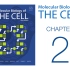 《细胞的分子生物学》第2章 细胞化学与生物能量代谢 配套视频（字幕重制版）