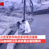 森林防火门事件