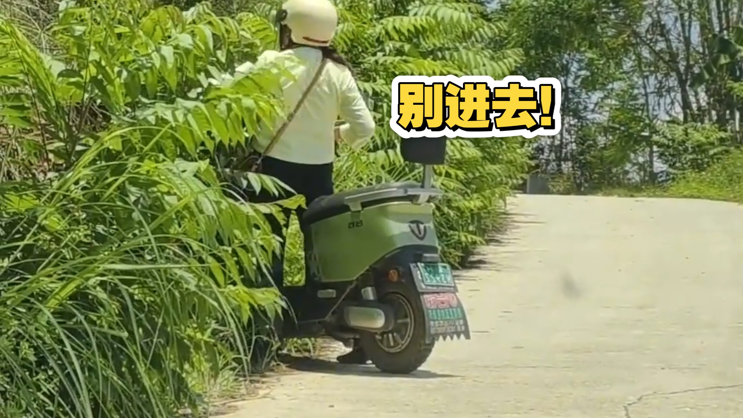 驯服一辆电动车有多难？