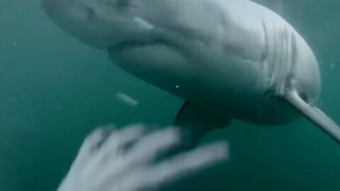 鲨鱼夹的使用方式 8af54bb596bdd71531609a61253b8ad3754e5a7d.jpg@480w_270h_1c