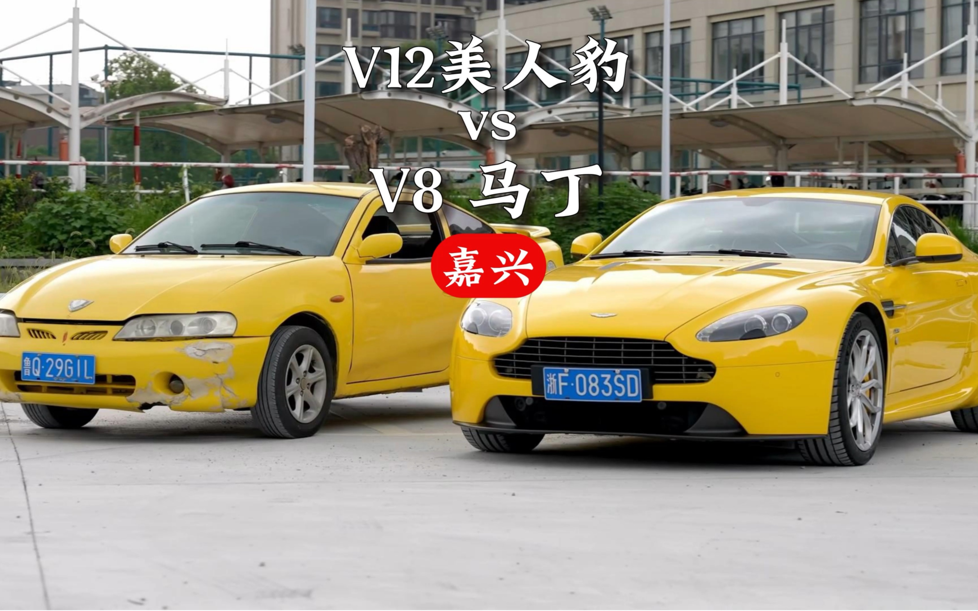 V12美人豹vs V8马丁