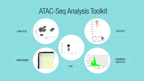 什么是单细胞生物举例 8b14377452b6818f62087010081e878d1cd07165.jpg@280w_158h_1c_100q.jpg