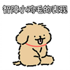 智 障 小 鸡 毛