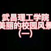 武昌理工学院美丽的校园风景（一
