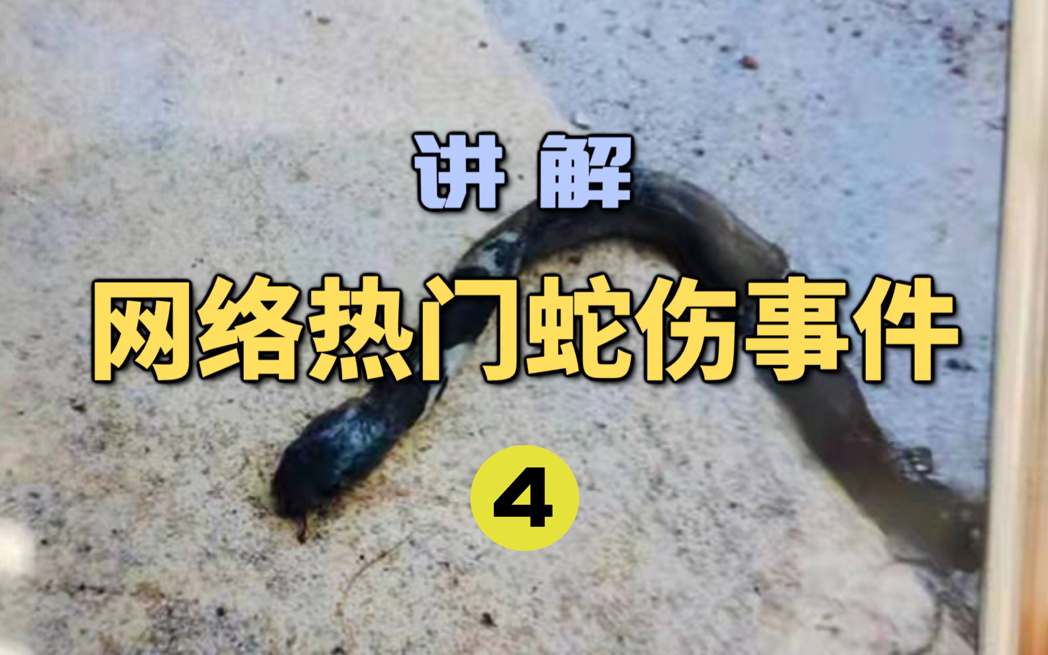 18年陕西女孩养蛇当宠物,被严重咬伤,抢救时宁死不说蛇的名称|银环蛇|养蛇|母亲_新浪新闻