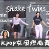 Shake Twins45min女团燃脂舞（Kpop五代女团｜最新歌单｜中等难度｜快乐趣味燃脂｜全程站立