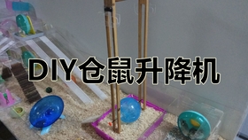 8b36f3e5ff4a03b0e24ed0de11f07d67d6c62b6c.jpg@280w_158h_1c_100q.jpg