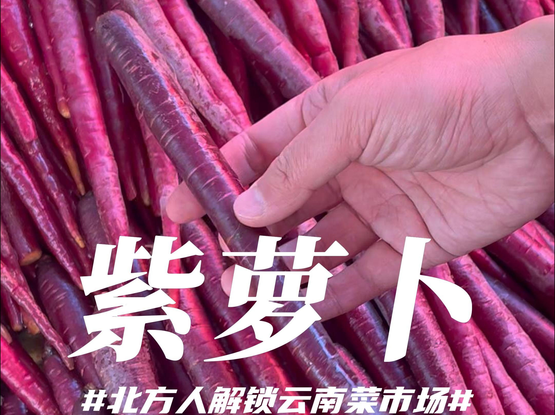 在云南，我发现了“胡萝卜天花板”！