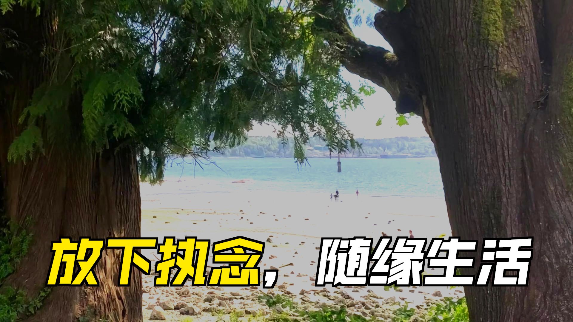体佛法师开示：处事