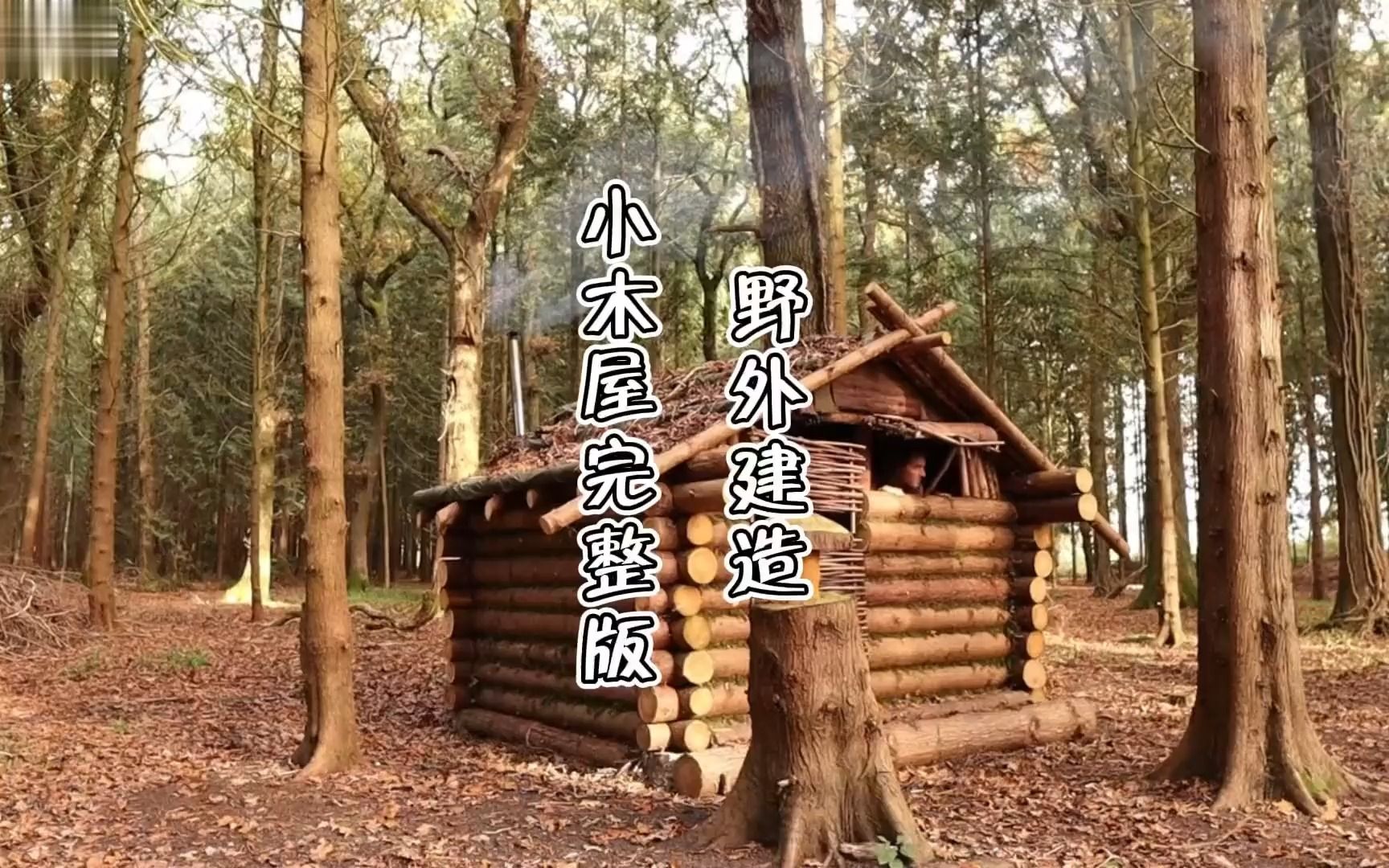 建议收藏!耗时5天建造的野外小木屋,完整全过程