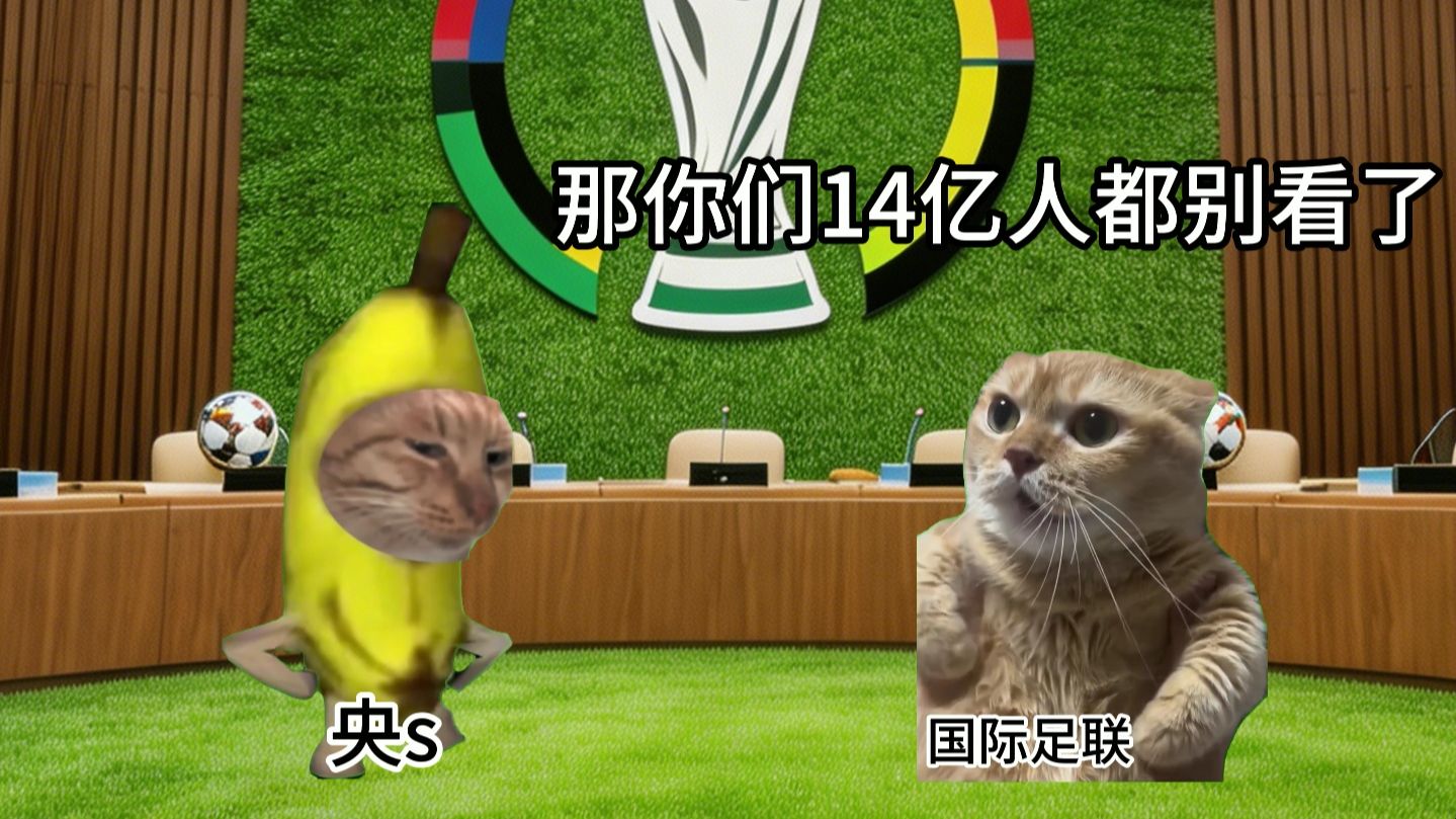 当央视拒绝世界杯天价转播权后
