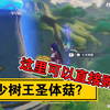 此处购买树王圣体菇_原神