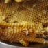 蜂蜜是怎么形成的