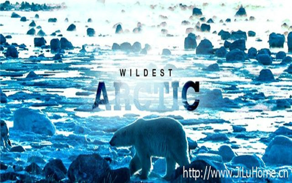 探索频道\/求索纪录《北极野生大地 Wildest Arc