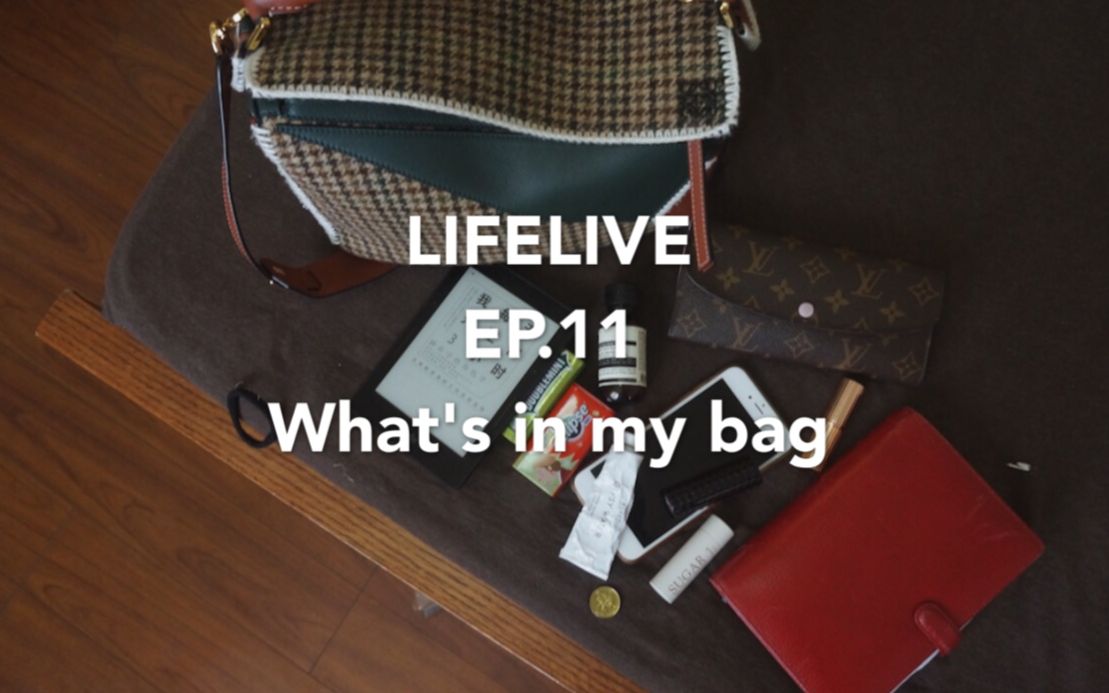 有东南亚味的what"s in my bag?loewe puzzle新款