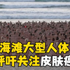 悉尼海滩大型人体艺术：2500人裸体呼吁关注皮肤癌