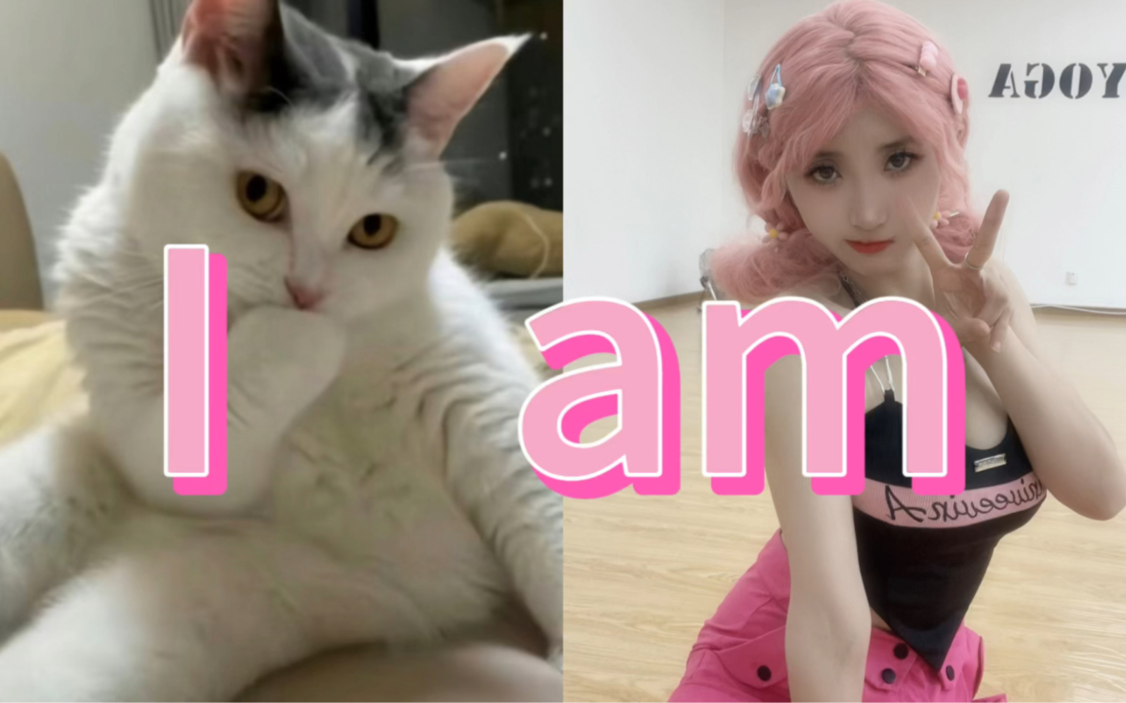 I am, kitten or me.