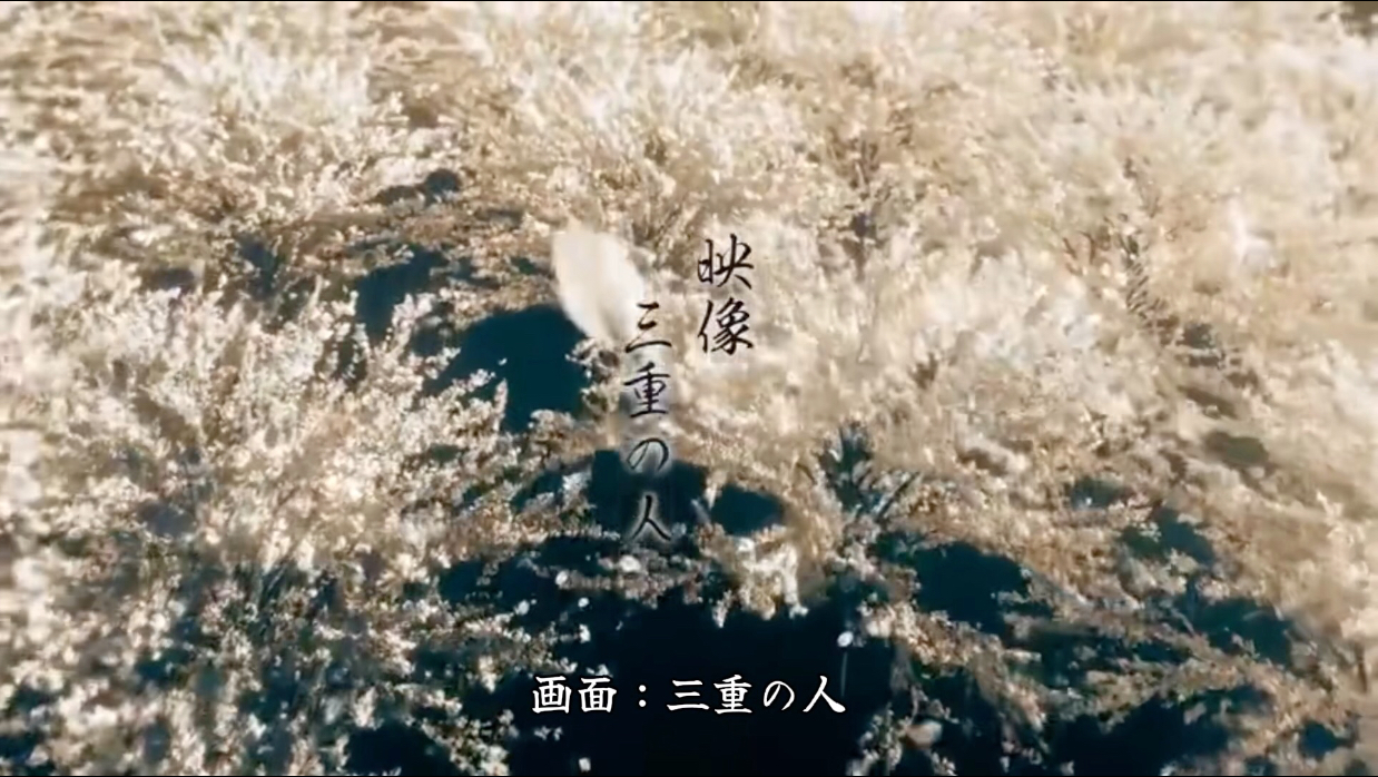 【合唱】千本樱（100000人）