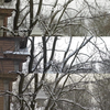 Canon 5d3 vs Nikon d600 vs Sony a99 - filming by DSLR Camera