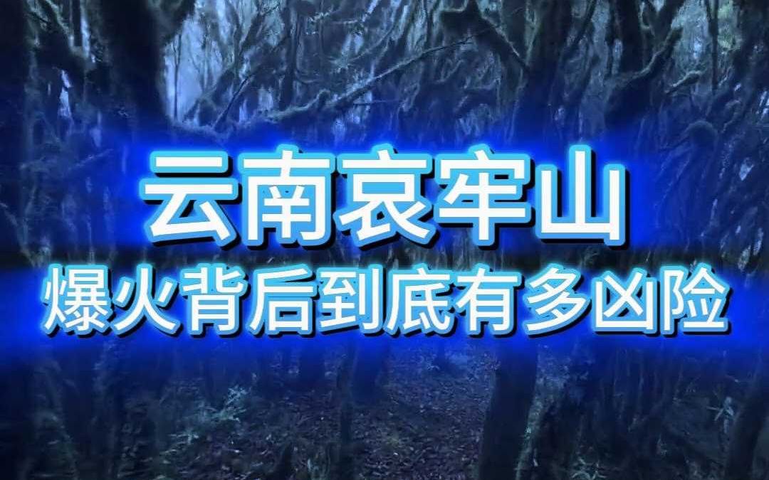 云南哀牢山,爆火背后到底有多凶险哔哩哔哩bilibili