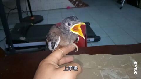 8bdbfb2b9b36bcee5cc662aab3776859cbe07d1f.jpg@480w_270h_1c