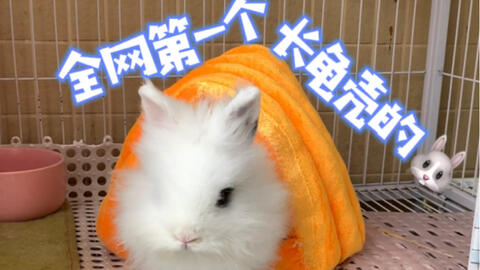 8bde54a71f776477afb5ff3694902e8be2c07816.jpg@480w_270h_1c