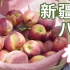 【顶级食材】新疆库尔勒樱桃李，160一斤，免费吃到爽！