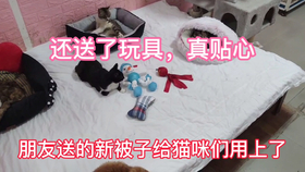 8befba45ec51a85c56396c38ebb34ff9faa77b78.png@280w_158h_1c_100q.jpg